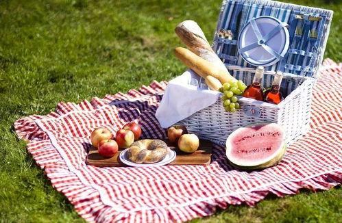 野餐兔网红吃瓜视频播放,带你领略美食与娱乐的完美融合