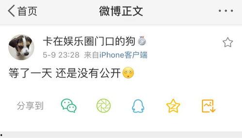 吃瓜网全球最新爆料,吃瓜网揭秘惊天大事件！